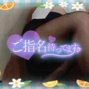 ヒメ日記 2025/08/18 16:40 投稿 柊木らん セクシーキャット 神田店