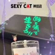 ヒメ日記 2025/08/19 00:17 投稿 柊木らん セクシーキャット 神田店