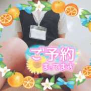 ヒメ日記 2025/08/30 16:00 投稿 柊木らん セクシーキャット 神田店