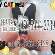 ヒメ日記 2025/10/24 16:00 投稿 柊木らん セクシーキャット 神田店