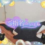 ヒメ日記 2025/10/25 16:00 投稿 柊木らん セクシーキャット 神田店