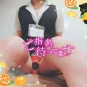 ヒメ日記 2025/11/03 16:00 投稿 柊木らん セクシーキャット 神田店