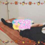 ヒメ日記 2025/11/10 16:00 投稿 柊木らん セクシーキャット 神田店