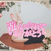 ヒメ日記 2025/11/14 22:05 投稿 柊木らん セクシーキャット 神田店