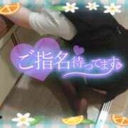 ヒメ日記 2025/11/17 16:00 投稿 柊木らん セクシーキャット 神田店