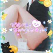 ヒメ日記 2025/11/17 21:52 投稿 柊木らん セクシーキャット 神田店