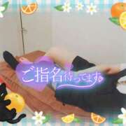 ヒメ日記 2025/11/24 17:11 投稿 柊木らん セクシーキャット 神田店