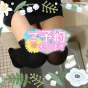 ヒメ日記 2025/11/29 16:42 投稿 柊木らん セクシーキャット 神田店