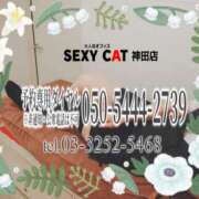 ヒメ日記 2025/12/05 16:00 投稿 柊木らん セクシーキャット 神田店