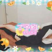 柊木らん おはようございます! セクシーキャット 神田店