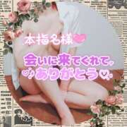 ヒメ日記 2025/12/08 21:27 投稿 柊木らん セクシーキャット 神田店