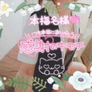 柊木らん 感謝☆ セクシーキャット 神田店