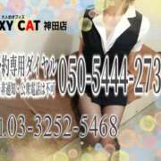 ヒメ日記 2025/12/19 17:26 投稿 柊木らん セクシーキャット 神田店