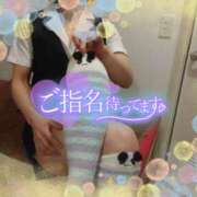 ヒメ日記 2026/01/24 16:43 投稿 柊木らん セクシーキャット 神田店