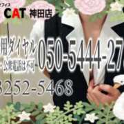 ヒメ日記 2026/02/13 16:00 投稿 柊木らん セクシーキャット 神田店