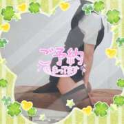 ヒメ日記 2026/02/15 17:14 投稿 柊木らん セクシーキャット 神田店