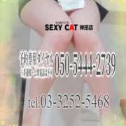 ヒメ日記 2026/02/20 18:01 投稿 柊木らん セクシーキャット 神田店