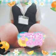 ヒメ日記 2026/02/23 17:17 投稿 柊木らん セクシーキャット 神田店