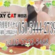 ヒメ日記 2026/02/27 17:51 投稿 柊木らん セクシーキャット 神田店