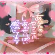 ヒメ日記 2026/02/28 00:37 投稿 柊木らん セクシーキャット 神田店