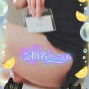 ヒメ日記 2026/03/01 16:00 投稿 柊木らん セクシーキャット 神田店