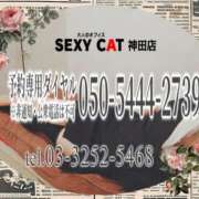 ヒメ日記 2026/03/13 16:01 投稿 柊木らん セクシーキャット 神田店