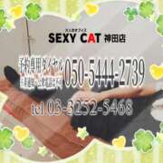 ヒメ日記 2026/03/20 16:00 投稿 柊木らん セクシーキャット 神田店