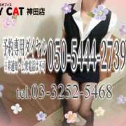 ヒメ日記 2026/03/27 17:06 投稿 柊木らん セクシーキャット 神田店