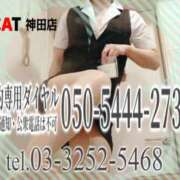 ヒメ日記 2026/04/03 16:00 投稿 柊木らん セクシーキャット 神田店