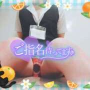 ヒメ日記 2026/05/04 17:36 投稿 柊木らん セクシーキャット 神田店