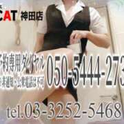 ヒメ日記 2026/05/15 16:00 投稿 柊木らん セクシーキャット 神田店