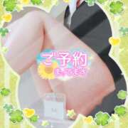 ヒメ日記 2026/05/17 17:08 投稿 柊木らん セクシーキャット 神田店