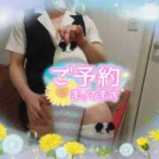 ヒメ日記 2026/05/24 17:23 投稿 柊木らん セクシーキャット 神田店