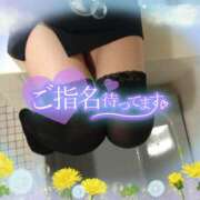 ヒメ日記 2026/06/07 17:45 投稿 柊木らん セクシーキャット 神田店