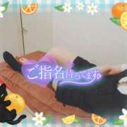 ヒメ日記 2026/06/21 16:00 投稿 柊木らん セクシーキャット 神田店