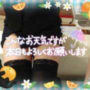 ヒメ日記 2026/07/18 19:02 投稿 柊木らん セクシーキャット 神田店
