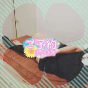 ヒメ日記 2026/08/03 16:00 投稿 柊木らん セクシーキャット 神田店