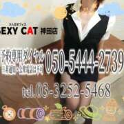 ヒメ日記 2026/08/14 16:00 投稿 柊木らん セクシーキャット 神田店
