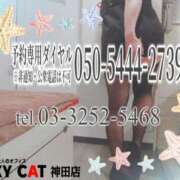 ヒメ日記 2026/08/21 16:00 投稿 柊木らん セクシーキャット 神田店