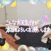 ヒメ日記 2026/09/12 16:00 投稿 柊木らん セクシーキャット 神田店