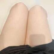 ヒメ日記 2025/04/08 15:18 投稿 あずさ 長野権堂更埴ちゃんこ