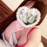 ヒメ日記 2025/04/24 11:18 投稿 あずさ 長野権堂更埴ちゃんこ