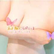 ヒメ日記 2025/07/22 11:51 投稿 あずさ 長野権堂更埴ちゃんこ