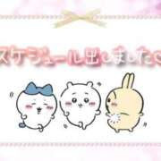 ヒメ日記 2025/09/04 20:36 投稿 あずさ 長野権堂更埴ちゃんこ