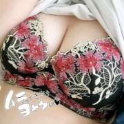 ヒメ日記 2025/09/05 19:46 投稿 あずさ 長野権堂更埴ちゃんこ