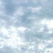 ヒメ日記 2025/10/16 09:56 投稿 あずさ 長野権堂更埴ちゃんこ