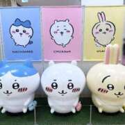 ヒメ日記 2026/03/18 15:06 投稿 あずさ 長野権堂更埴ちゃんこ