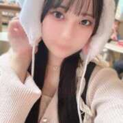 ヒメ日記 2025/10/24 08:02 投稿 こなつ 萌えカワ