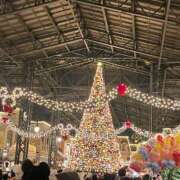 ヒメ日記 2024/12/24 08:58 投稿 柊菜乃【ヒナノ】 輝女