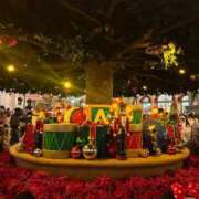 ヒメ日記 2024/12/25 15:15 投稿 柊菜乃【ヒナノ】 輝女